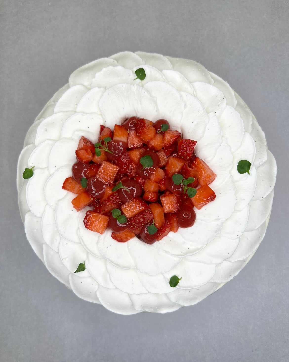 fraisier